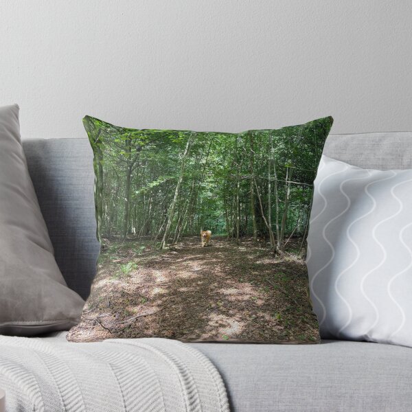 Item preview, Dog walking in beautiful forest designed and sold by Photopat.