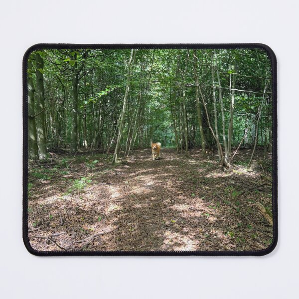 Item preview, Dog walking in beautiful forest designed and sold by Photopat.