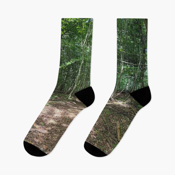 Item preview, Dog walking in beautiful forest designed and sold by Photopat.
