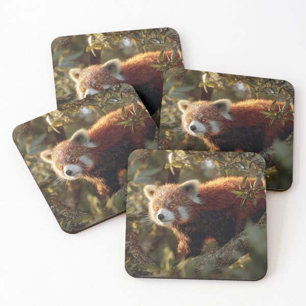 Item preview, Red panda designed and sold by sheptonian.