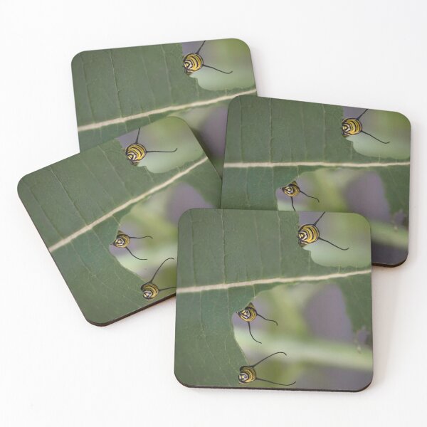 Item preview, 3 monarch caterpillars on a leaf  designed and sold by sarahjeanphoto.