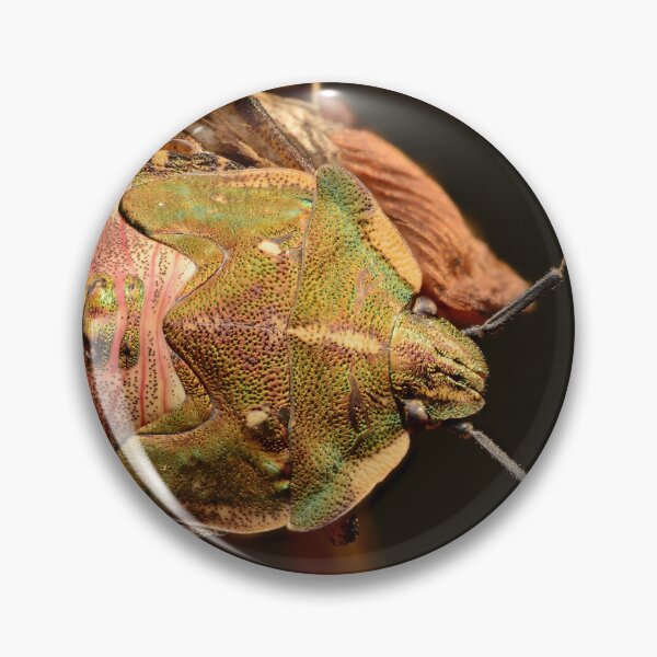 Item preview, Macro of a Colorful Shield Bug on a Dry Plant designed and sold by Goiko7Margarita.