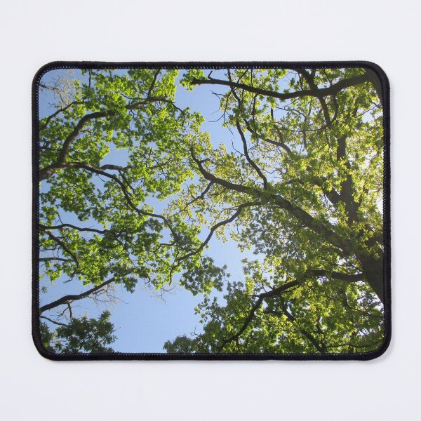 Item preview, Catch the sunshine through therapeutic trees designed and sold by crystalline.
