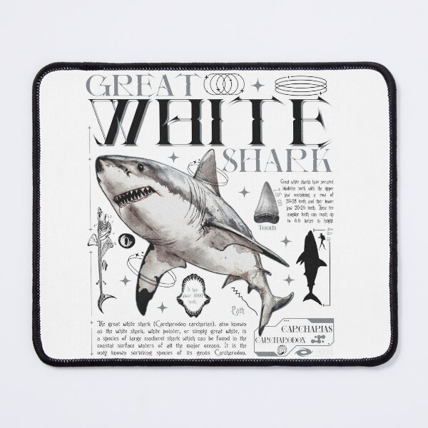 Item preview, Anatomy Knowledge Shark Biology designed and sold by AShanDome.