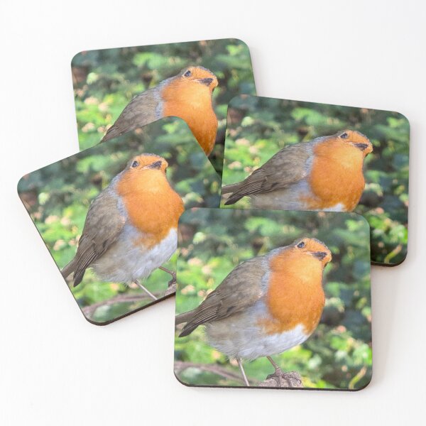 Item preview, A Robin in Thought, Holland Park, London designed and sold by The Running London Photographer.