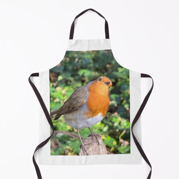 Item preview, A Robin in Thought, Holland Park, London designed and sold by The Running London Photographer.