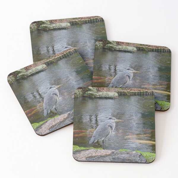 Item preview, Heron with a Fish Banquet. Holland Park, London designed and sold by The Running London Photographer.