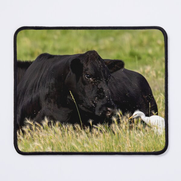 Item preview, Black Cow and Egret in Grassy Field designed and sold by Jarrett720.