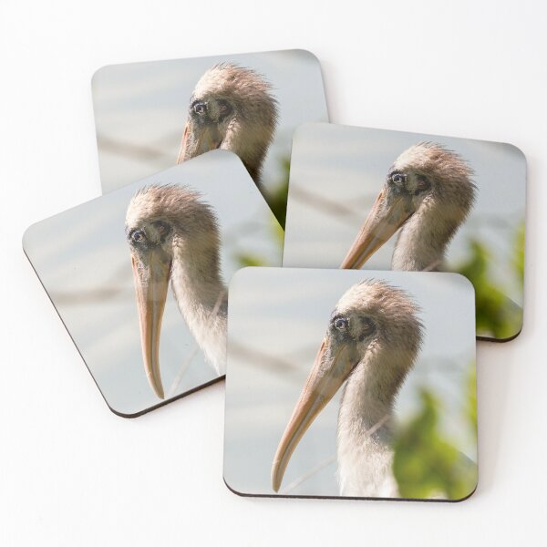 Item preview, Curious Young Stork by Water designed and sold by Jarrett720.