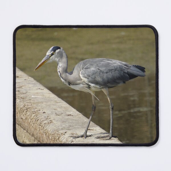 Item preview, grey heron designed and sold by shaunmk.