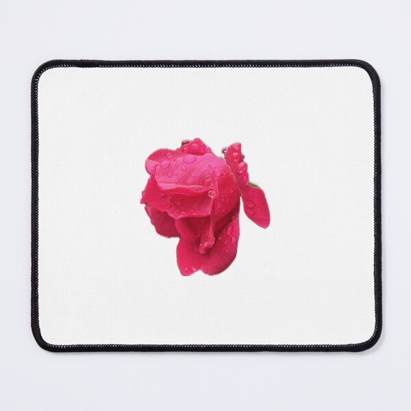 Item preview, Rose with Dew designed and sold by opalescent-dreams.