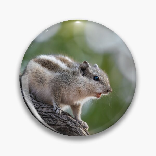 Item preview, Chipmunk on a Tree, Cute Wildlife Photography Design designed and sold by Shaheer-WallArt.