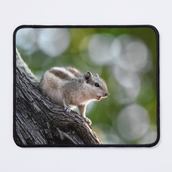 Item preview, Chipmunk on a Tree, Cute Wildlife Photography Design designed and sold by Shaheer-WallArt.