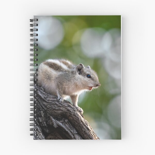 Item preview, Chipmunk on a Tree, Cute Wildlife Photography Design designed and sold by Shaheer-WallArt.