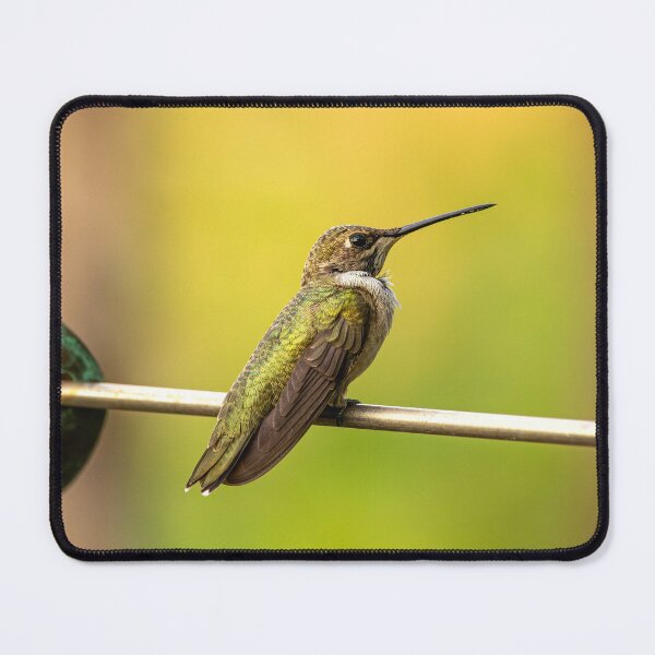 Item preview, Graceful Hummingbird on Feeder Perch designed and sold by Jarrett720.