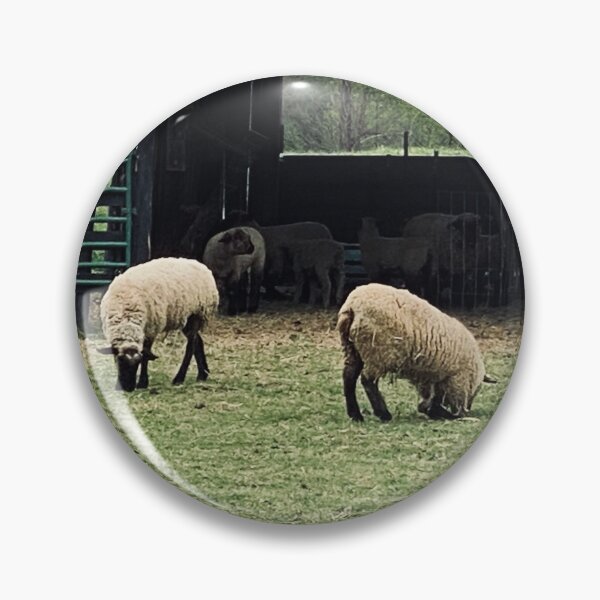 Artikelvorschau, Schaf entworfen und verkauft von IckieStickies.