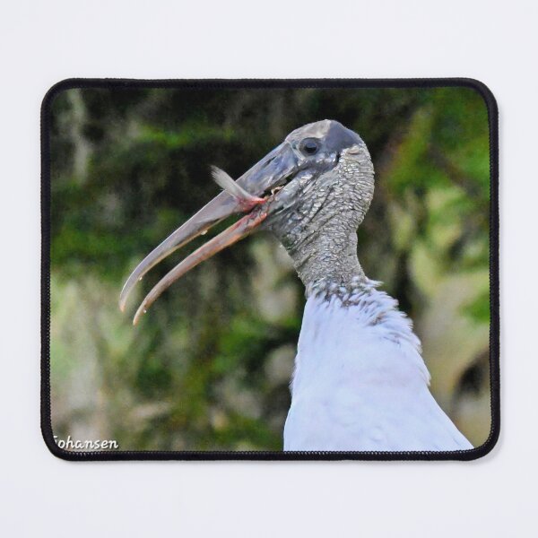 Item preview, Wood Stork eating fish designed and sold by Glennphotos.