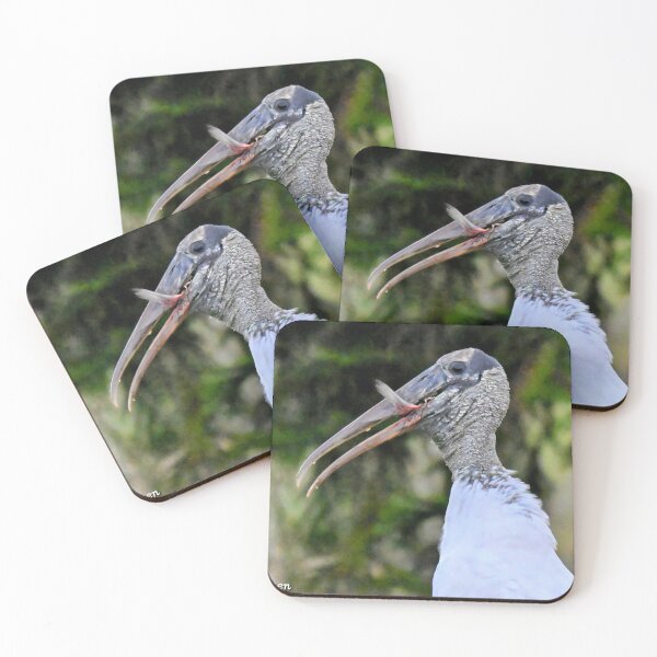 Item preview, Wood Stork eating fish  designed and sold by Glennphotos.