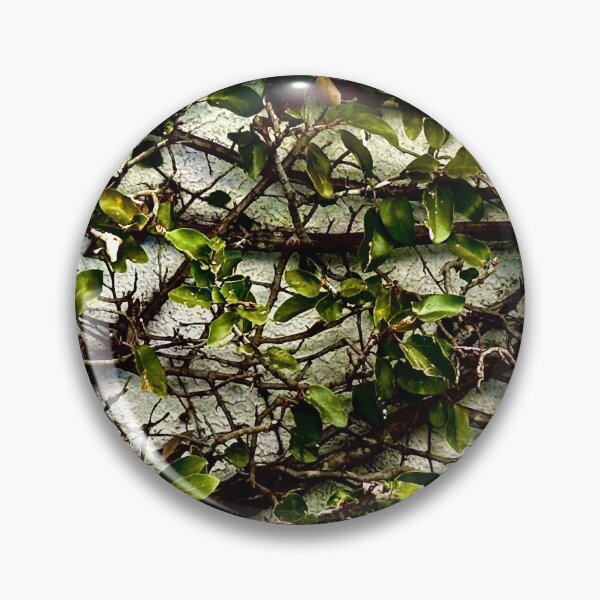 Item preview, Concrete and Ivy designed and sold by Awesome.Starblossom.