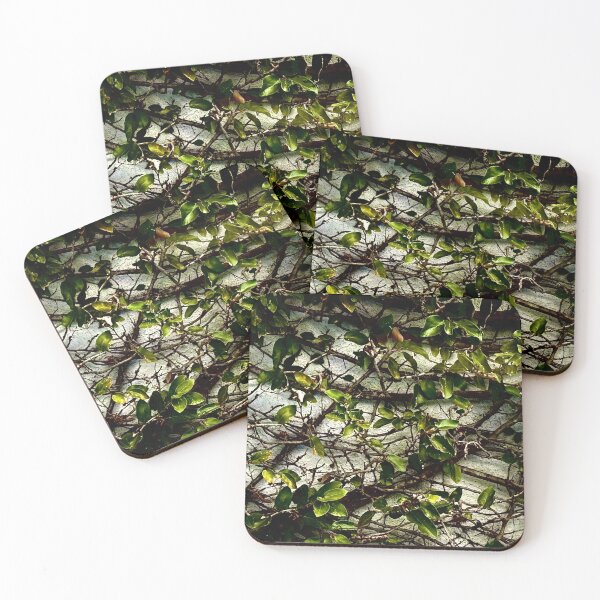 Item preview, Concrete and Ivy designed and sold by Awesome.Starblossom.