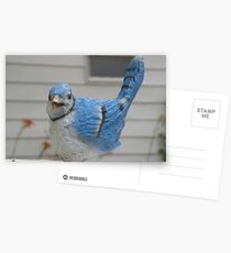 Bird in Kentucky Postcards
