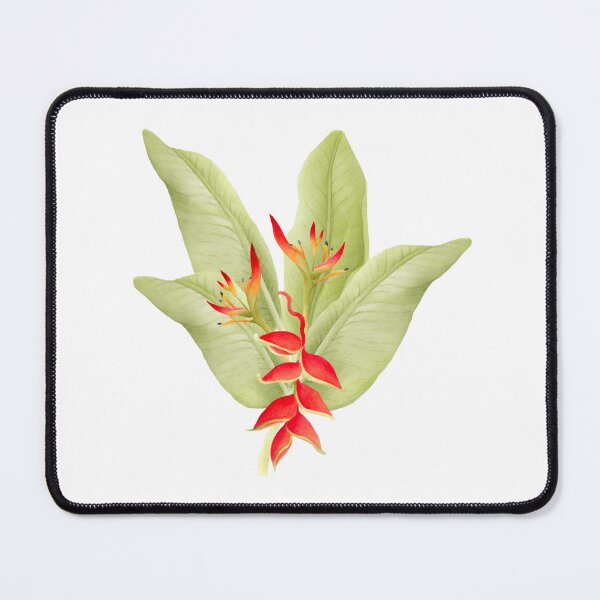 Item preview, Bird of paradise plant designed and sold by cadstudios.