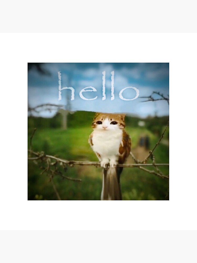 Hello Meowl Sticker