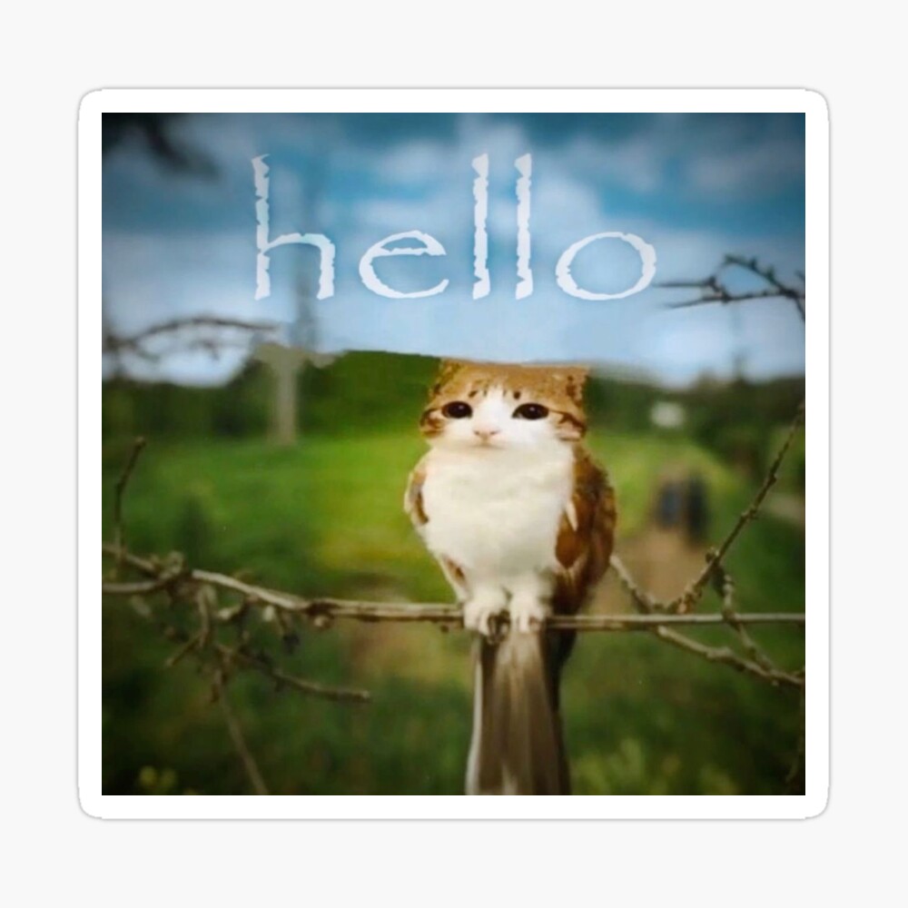 Hello Meowl Sticker