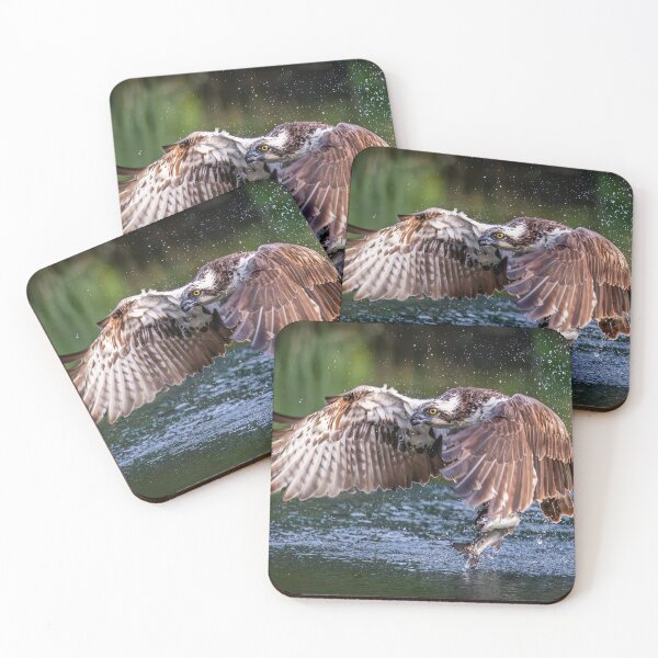 Item preview, Majestic Osprey With Trout Flight designed and sold by Incakola1.