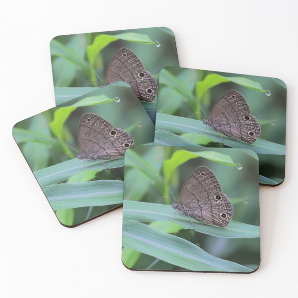 Item preview, Carolina satyr butterfly designed and sold by Parks and X.