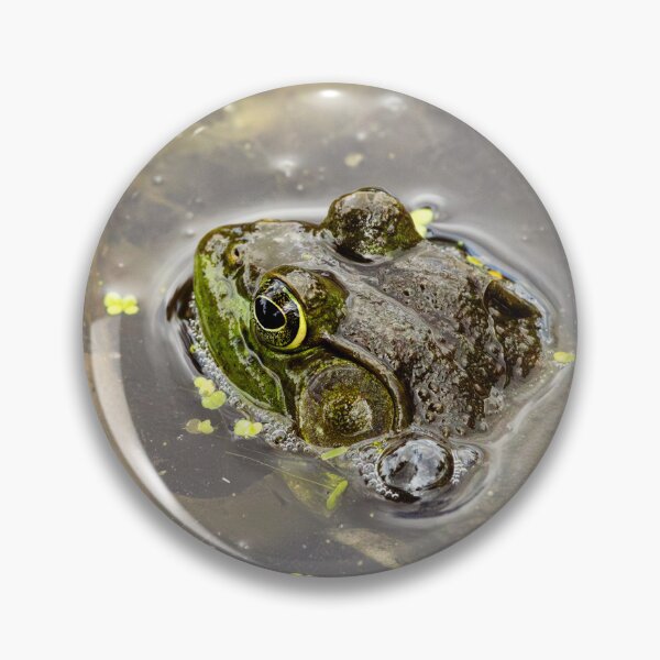 Item preview, Vigilant Frog in Murky Pond designed and sold by Jarrett720.