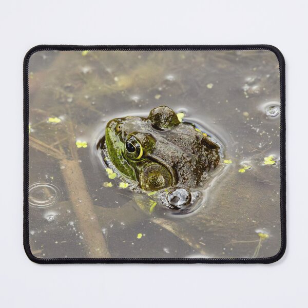 Item preview, Vigilant Frog in Murky Pond designed and sold by Jarrett720.