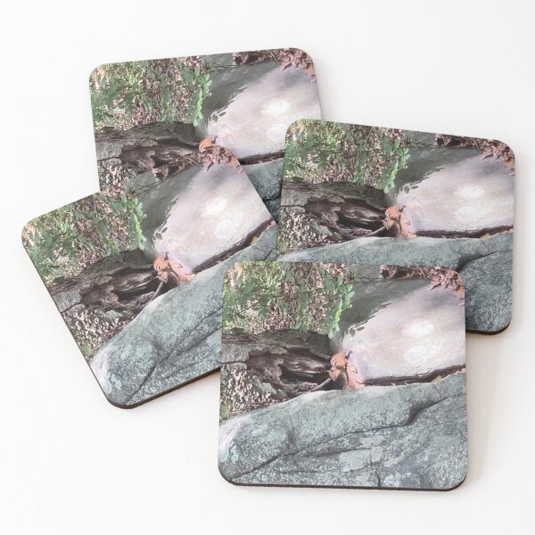 Item preview, Chipmunk in the Forest on Some Rocks  designed and sold by Amanda1775.