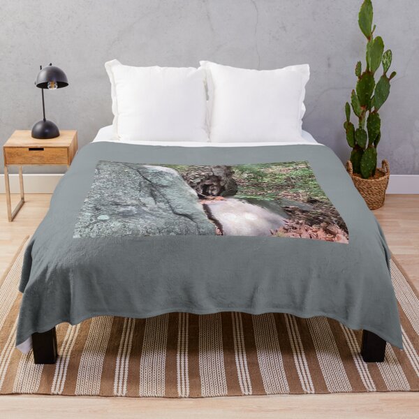 Item preview, Chipmunk in the Forest on Some Rocks designed and sold by Amanda1775.