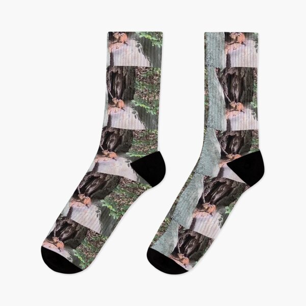 Item preview, Chipmunk in the Forest on Some Rocks  designed and sold by Amanda1775.