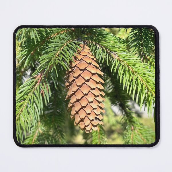 Item preview, Pine Tree Perfection designed and sold by Lana Magnolia.