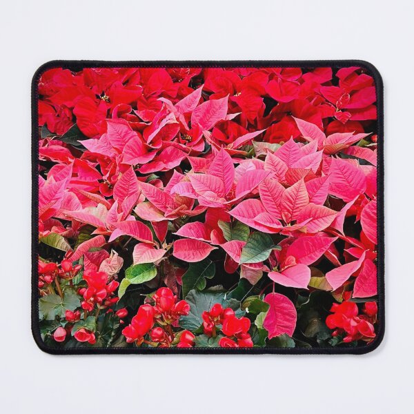 Item preview, Seasonal Splendour designed and sold by Lana Magnolia.