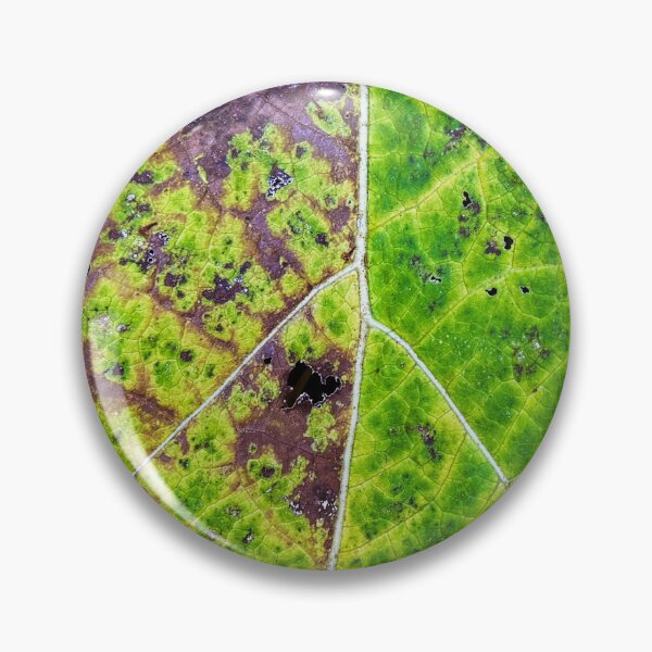 Item preview, Lifecycle designed and sold by DF Textures.
