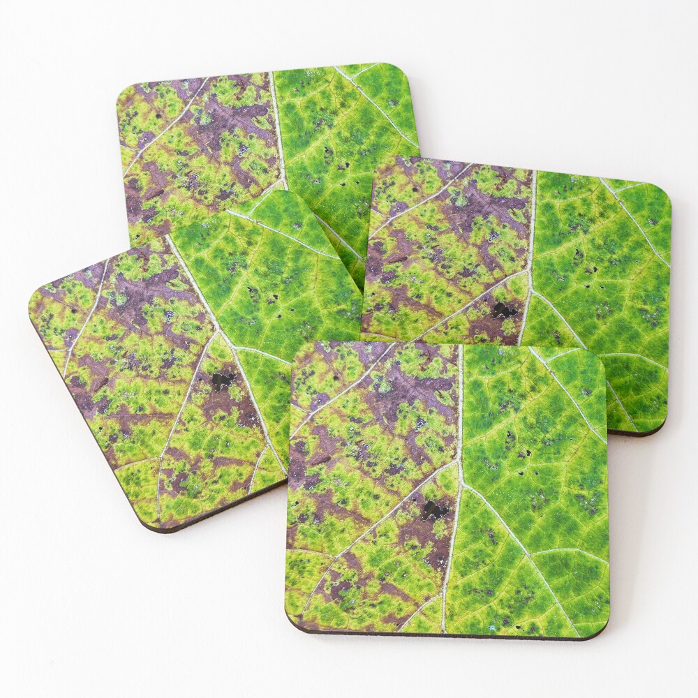 Item preview, Coasters (Set of 4) designed and sold by DFTextures.