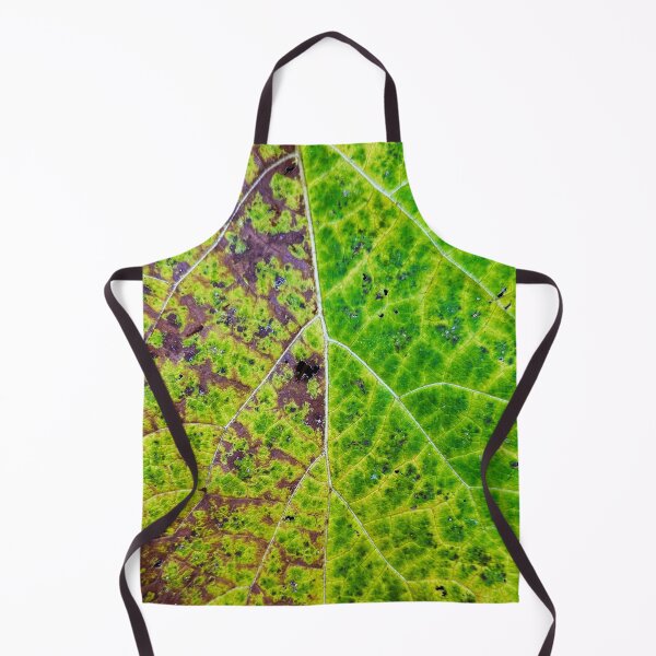 Item preview, Lifecycle designed and sold by DF Textures.