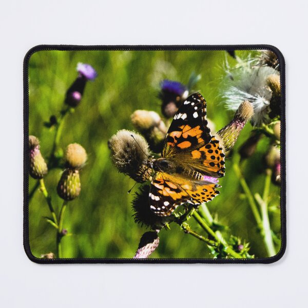 Item preview, Butterfly at rest designed and sold by CanadianWild418.