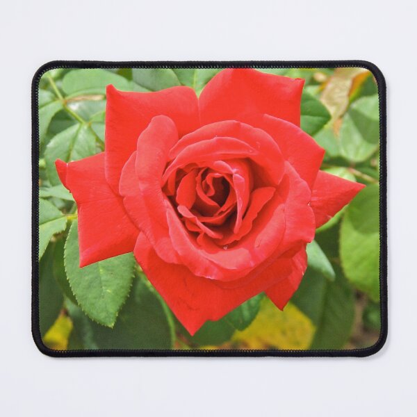 Item preview, Crimson Dream designed and sold by Lana Magnolia.