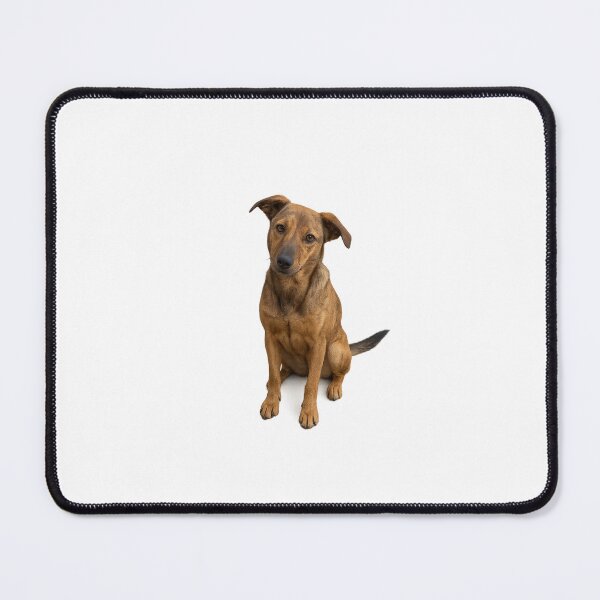 Item preview, Cute Mixed Breed Dog – Loyal Friend Illustration designed and sold by MalickaArt.