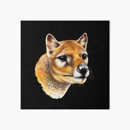 Vista previa del artículo con la obra «Retrato del tigre de Tasmania (tilacino)», diseñado y vendido por Pip Tacla.