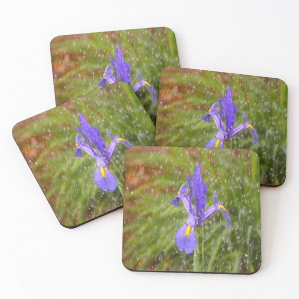 Item preview, Blue Dutch Iris designed and sold by KoalaTeaPhotogr.