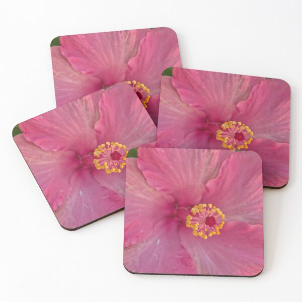 Item preview, Pink Hibiscus designed and sold by Betsy Phillips.