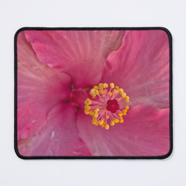 Item preview, Pink Hibiscus designed and sold by Betsy Phillips.