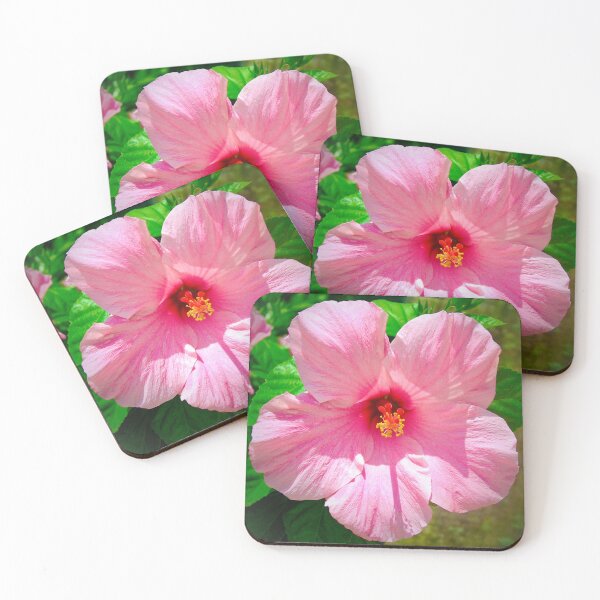Item preview, Hibiscus Dreams designed and sold by Lana Magnolia.