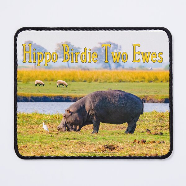 Item preview, Hippo Birdie Two Ewes (Happy Birthday To You) designed and sold by travelwitheric.
