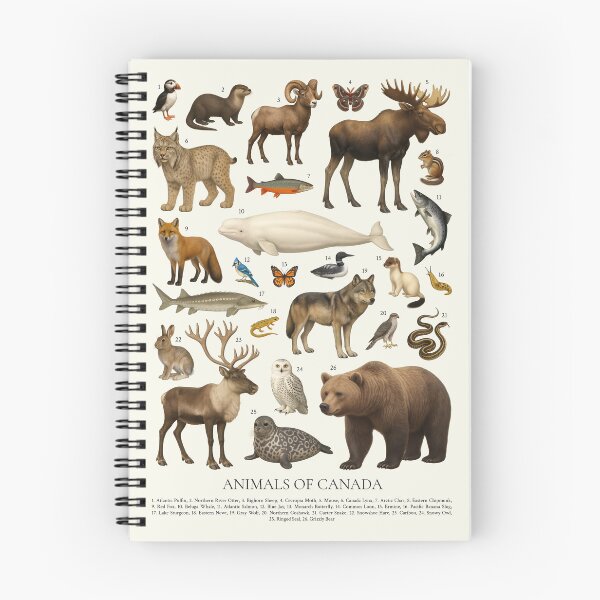 Item preview, Native Animals of Canada Illustration Chart Wildlife Art designed and sold by kakarikihill.